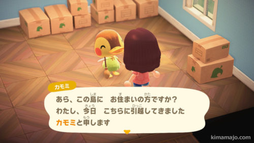 カモミ　引っ越し