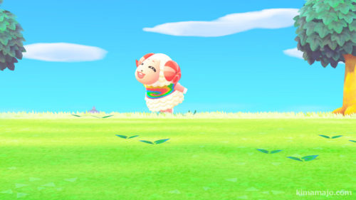 ちゃちゃまる　飛行機走り