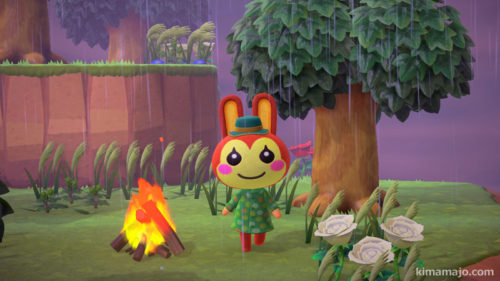 リリアン　離島