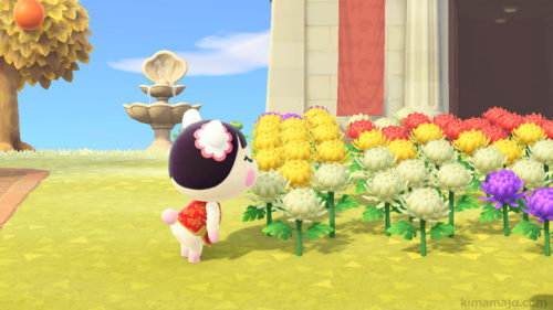 クンクン　ジャスミン